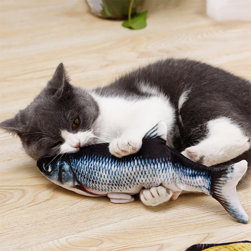 Cat Fish Toy