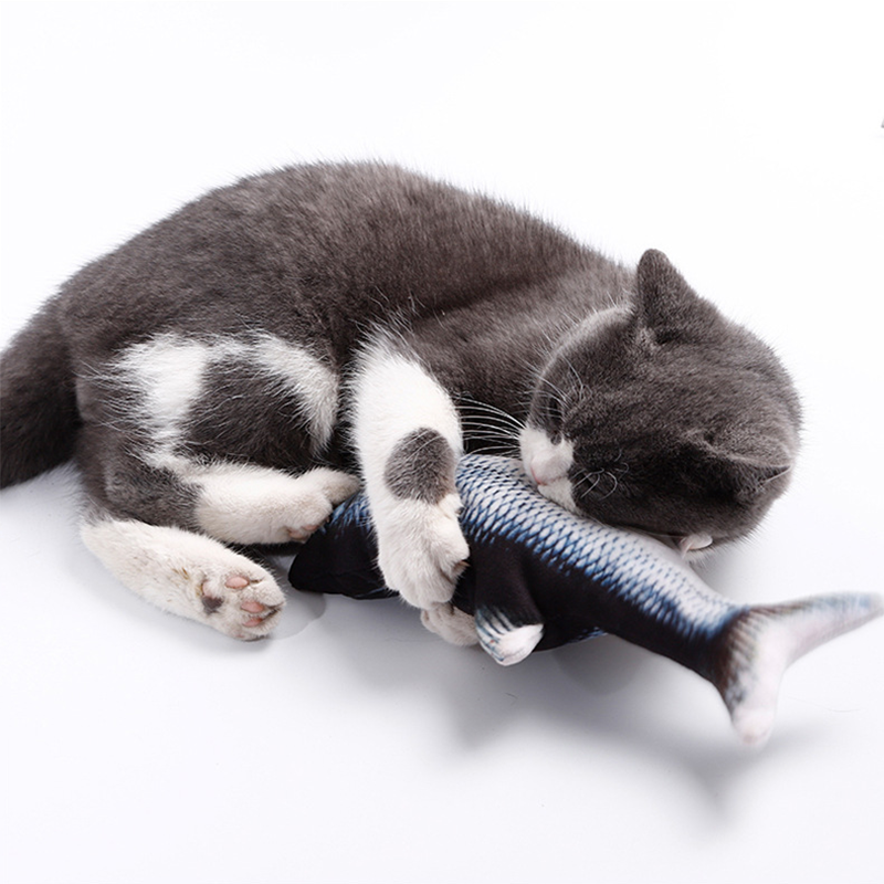 Cat Fish Toy
