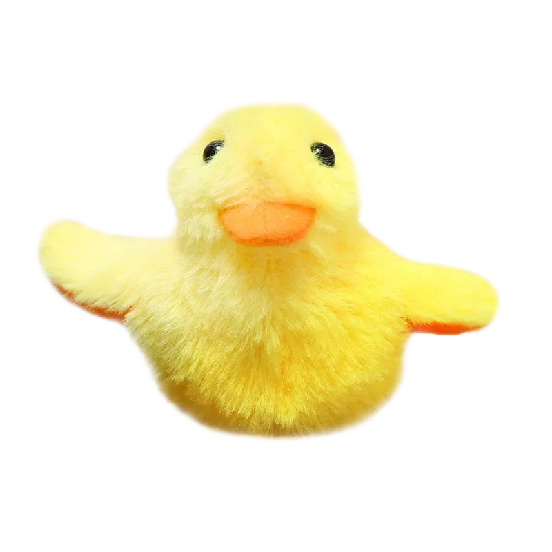 Flappy Duck Toy