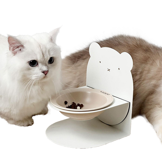 Magnetic Ceramic Bowl