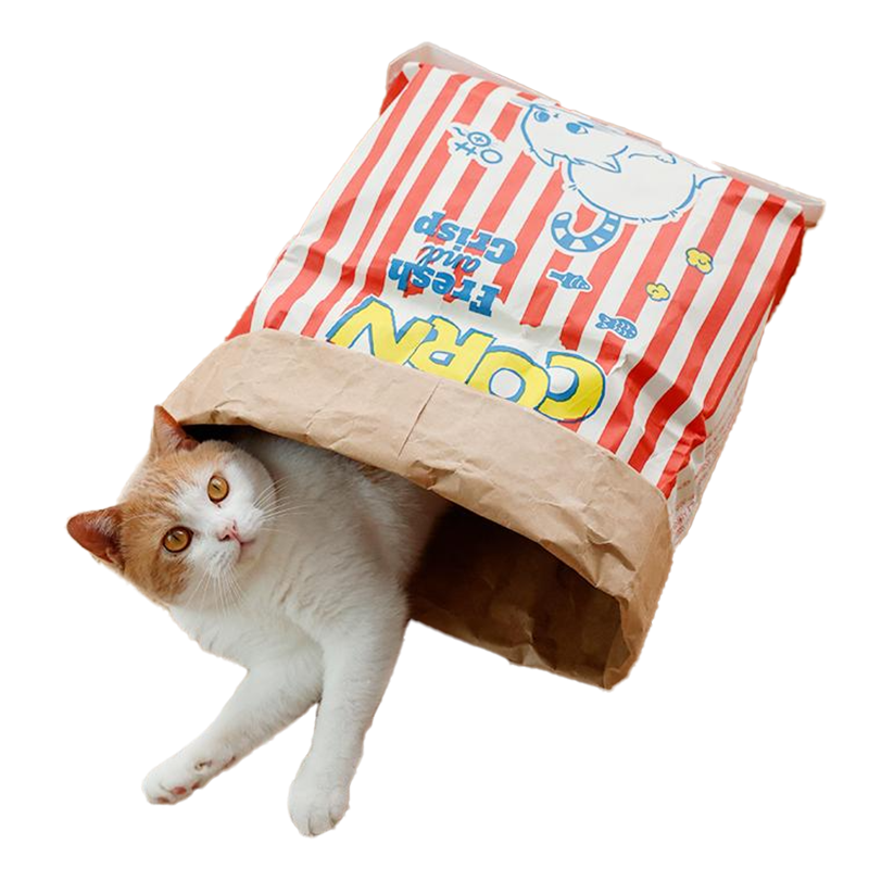 Cat Popcorn Bag