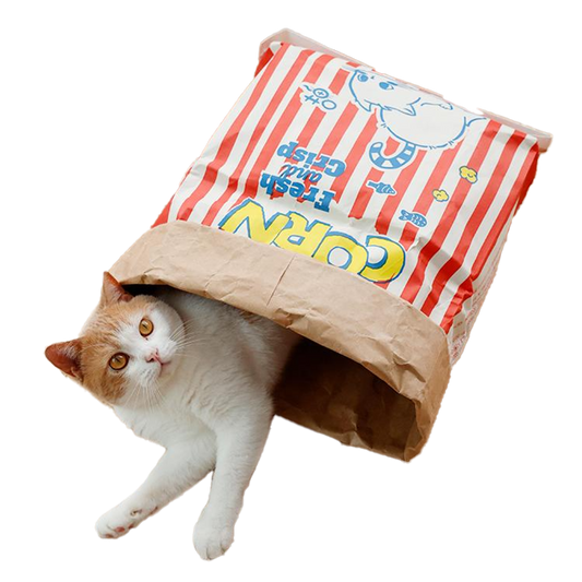 Cat Popcorn Bag