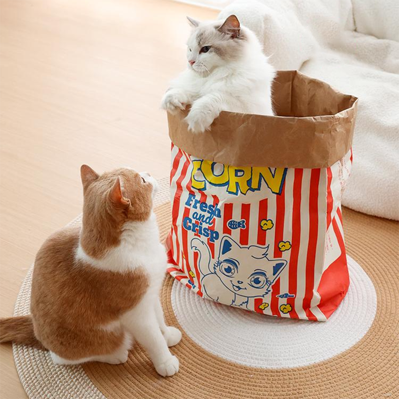 Cat Popcorn Bag