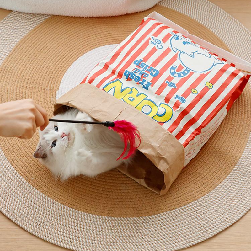 Cat Popcorn Bag
