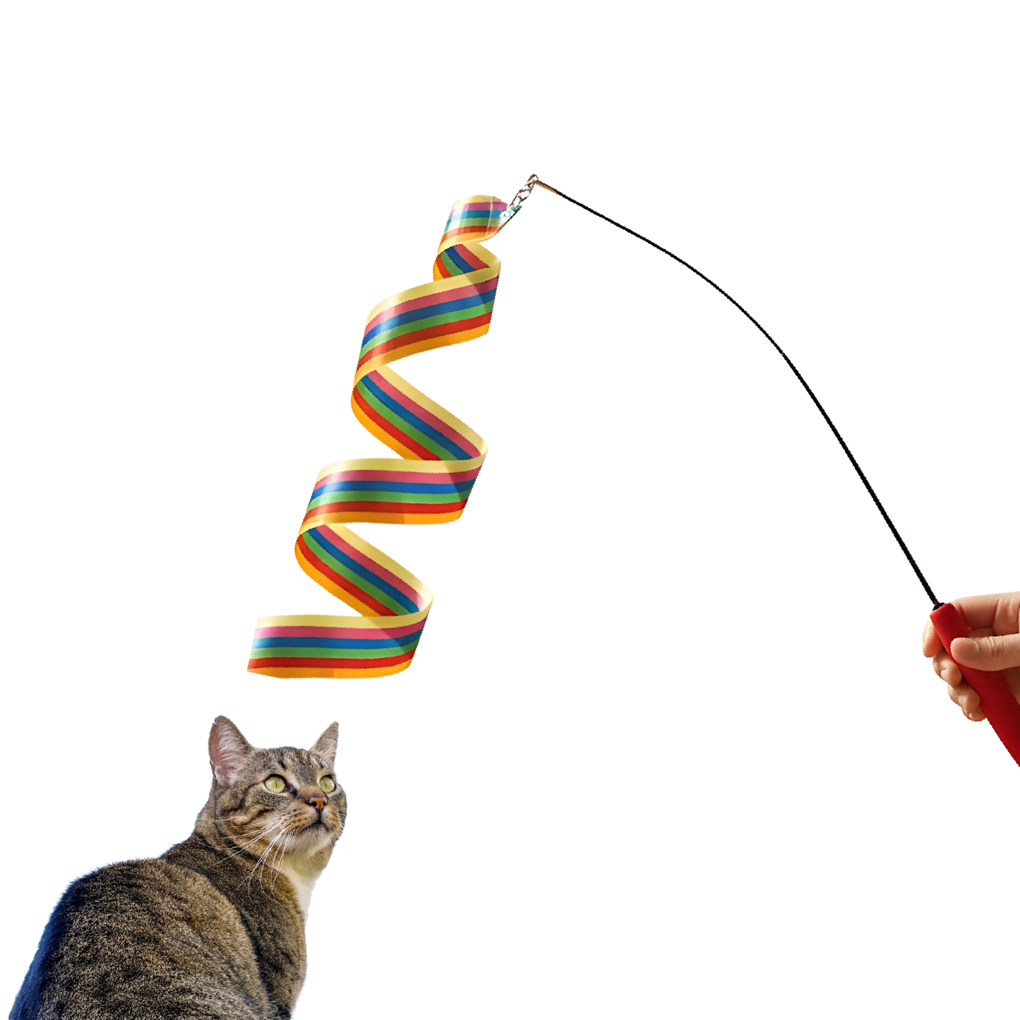 Colorful Ribbon Teaser