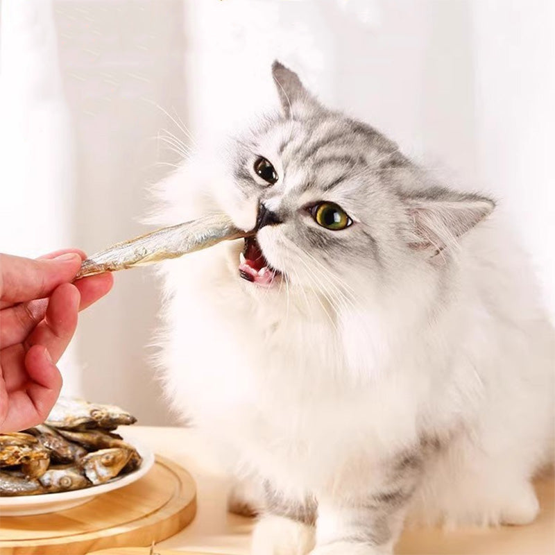 Smelt Cat Treat
