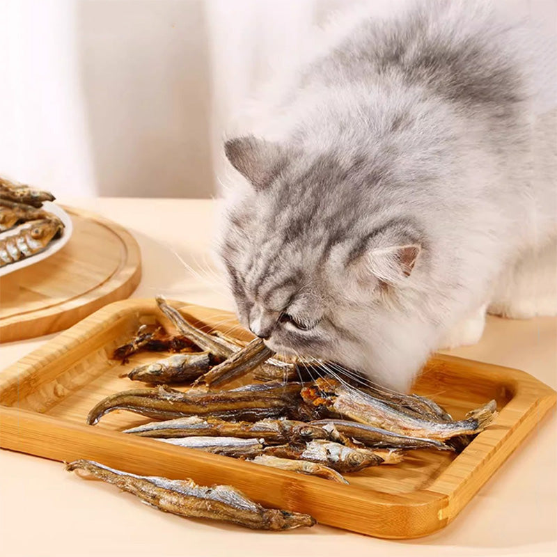Smelt Cat Treat