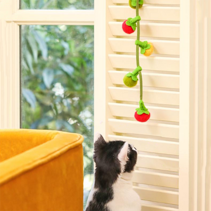 Tomato String Toy