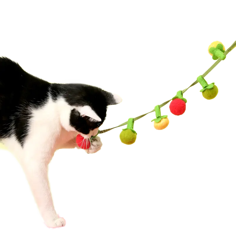 Tomato String Toy