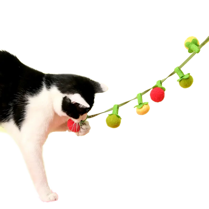 Tomato String Toy