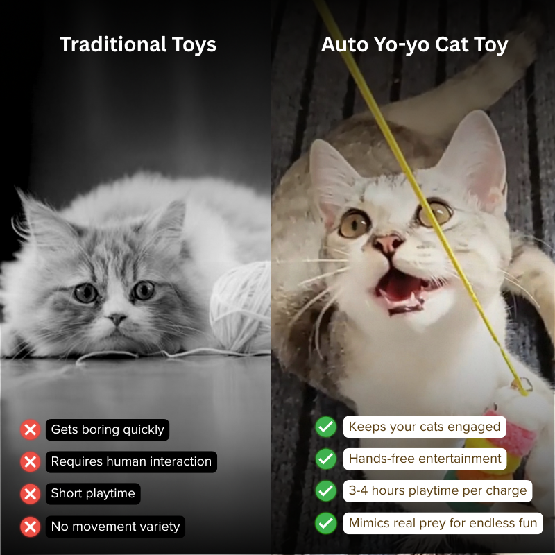 Auto Yo-yo Cat Toy