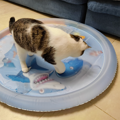 Cat Water Bed 2.0