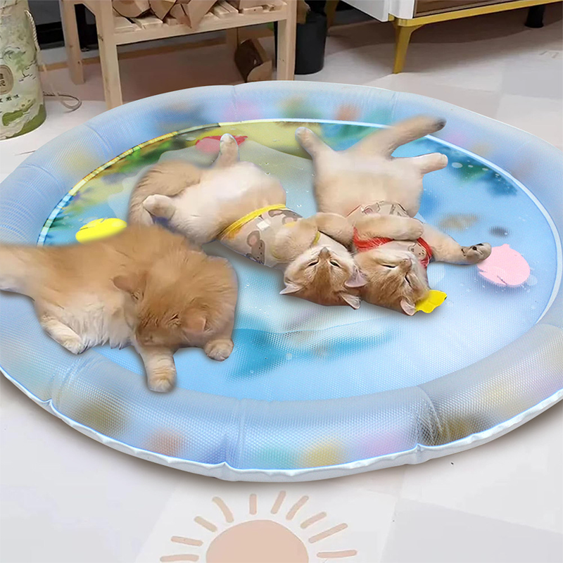 Cat Water Bed 2.0
